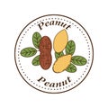 Vector peanut logo in cartoon style.